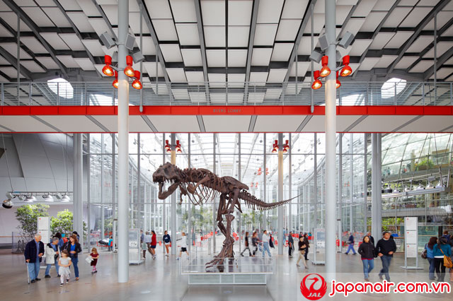 4 viện bảo tàng nổi tiếng nhất San Francisco