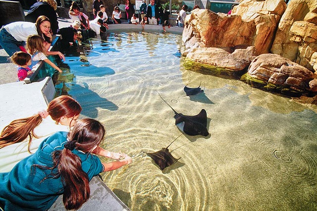 5 điểm đến đầy hứa hẹn tại thành phố Los Angeles