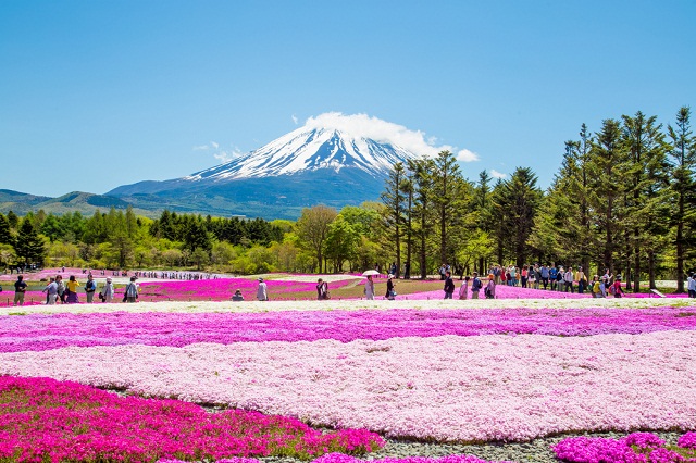 Hương sắc 4 mùa ở Nhật Bản