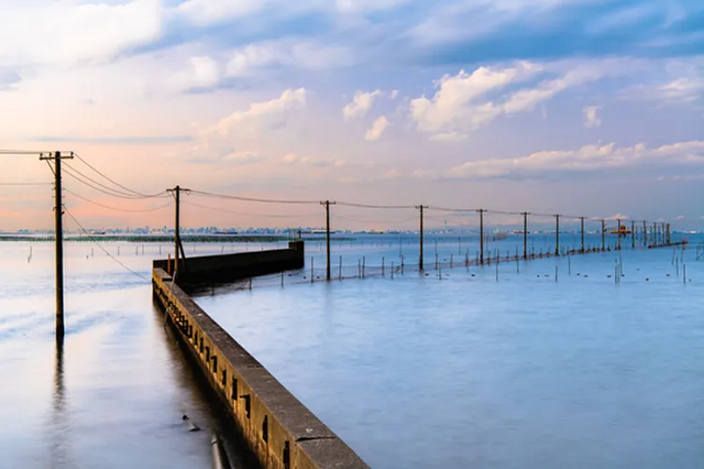 Mách bạn những địa điểm trải nghiệm cào sò hot nhất vào mùa hè ở Nhật Bản