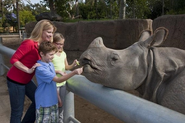 Du khách được thấy cận cảnh các loài động vật ở sở thú San Diego.