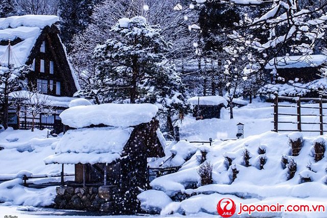 Tuyết phủ trắng xóa hút hồn du khách đến Tokyo